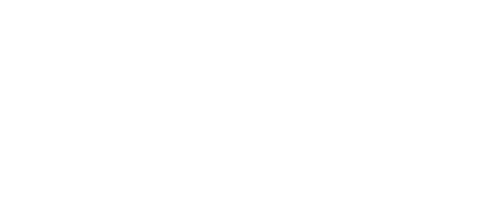 Envision Logo white 2000